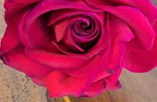 Terrazza sul Mare holidays with experiences - Foto 48