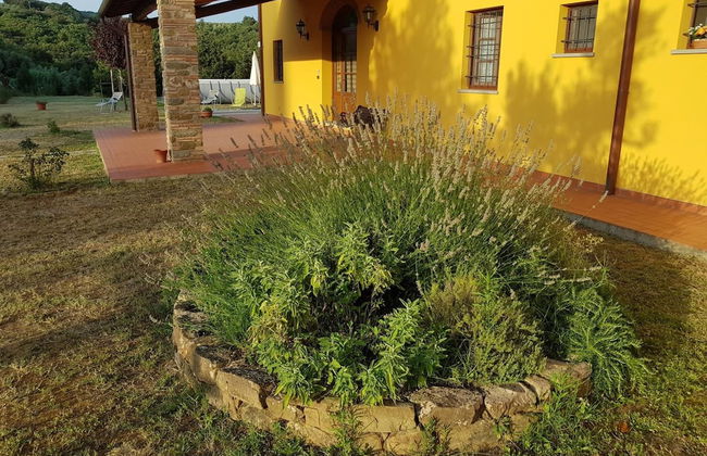 Agriturismo Podere Casalone - Foto 34