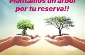 SKI & NATURE JAVALAMBRE - Foto 4