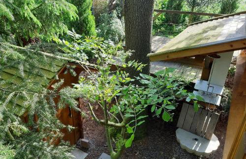 Baumhaus Wolfshöhle - Foto 12