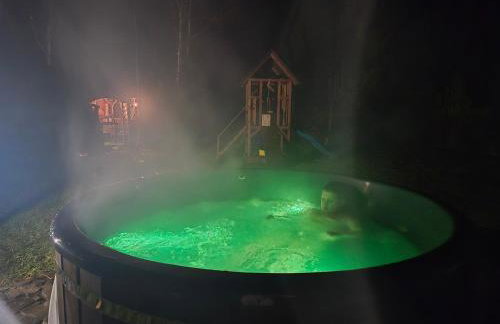 Bieszczadzki Dworek - Foto 36