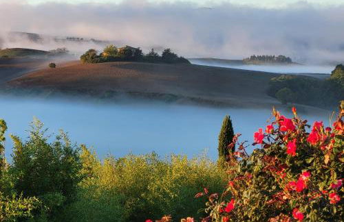 Podere Cunina - Foto 44