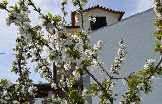 Casa do Chão do Ribeiro - Foto 4