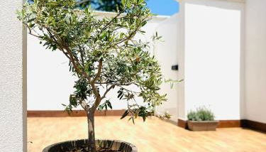 La MAISON D'ISABELLE - Foto 4, Garden view