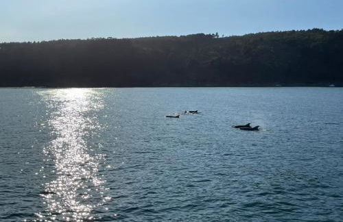 Casa Arealonga - Foto 18