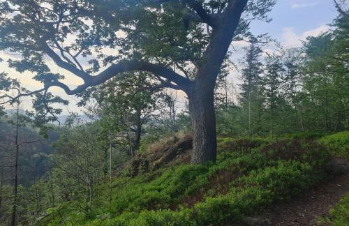 Ferienwohnung "Auszeit" - Photo 45