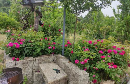 Turismo Rural Macieira Brava - Foto 8