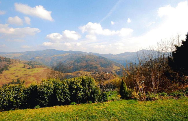 Apartment in Pfaffenberg Near Ski Slopes - Foto 14