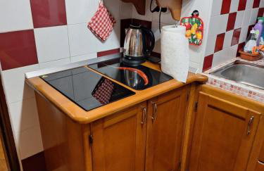 Apartment Pod Lipom - Photo 11