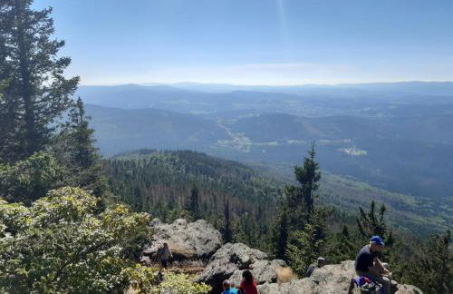 AnNo - Wohlfühlplatzal in da Mauth - Foto 30