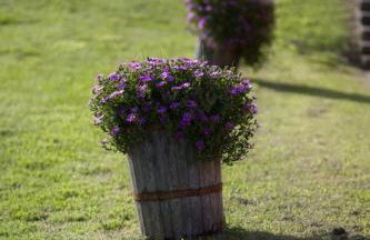 Agriturismo Bisenzio - Foto 46