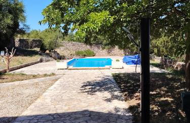 Rokovi dvori - Foto 5