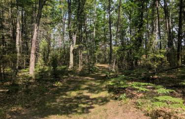 The Hideout - Cute and Quiet Rustic Cabin! - Foto 11