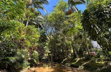 Um chalé e um riacho no meio da natureza - Foto 7