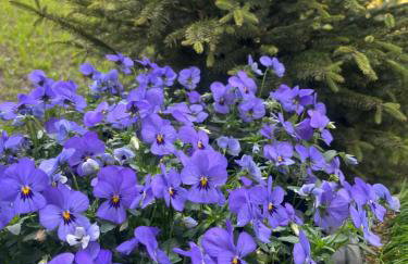 Apartament Kaszmirowy - Foto 33