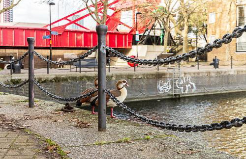 Bright Canada Water Waterside Retreat - Foto 25