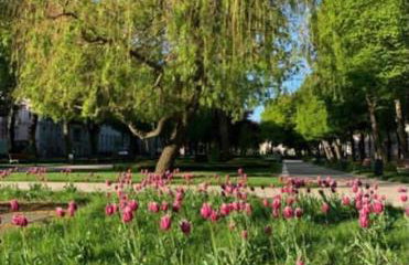 LAS SŁUPSKI PREMIUM LOVE APARTAMENT NR5 Wifi Netflix Smart TV50 full kitchen double bathtub up to 4 people full pleasure quality stay - Photo 34