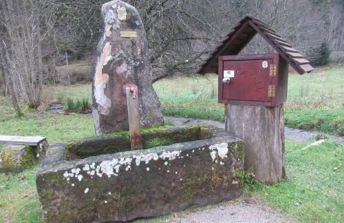 Ferienwohnung-Schoenmuenzblick-Urlaub-im-Nationalpark-Schwarzwald-Schwarzwald-Plus-inklusive - Photo 42