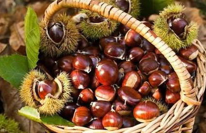 La casa di Giada - Foto 58