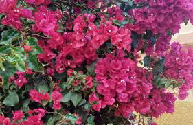 Adosado/casa con terraza y buhardilla. Playa El Perelló - Foto 13