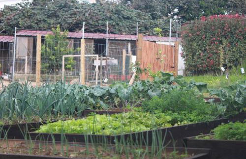 Casa dos meus avós -Villas - Gaia & Porto - Foto 51