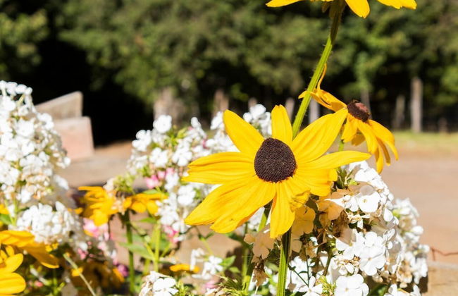 Cabin Chalet Type in Pucon - Photo 12
