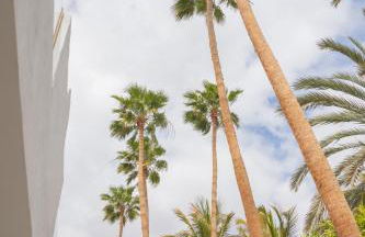 Palm Beach Fuerteventura - Photo 50