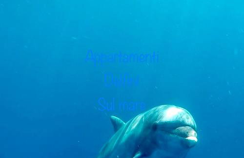 Appartamento Delfino Bianco - Photo 24