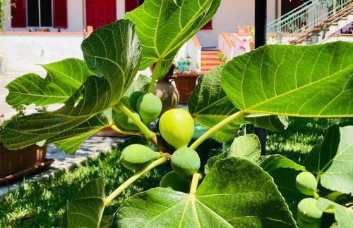 Villa Lesina Casa Vacanze - Foto 9