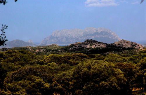 Stazzu Spadulagliu near Olbia - Foto 24