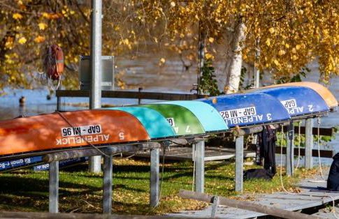 Ferienwohnungen Schwarzer in Seehausen am Staffelsee - Foto 24