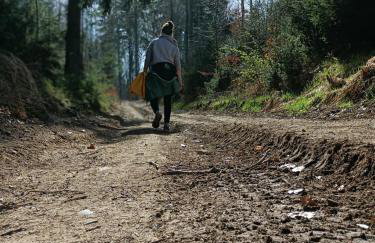 Smrek Sokolec Agroturystyka - Foto 49