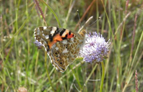 Casa Armonia - Foto 40