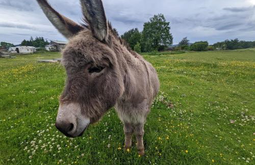 The Hidden Mill, Historic Beauty Spot and spa - Photo 16