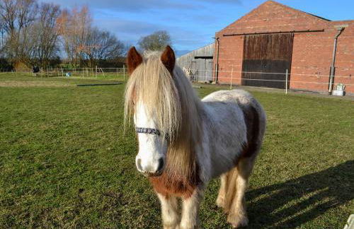 Ivy Grange Cottage - Foto 5