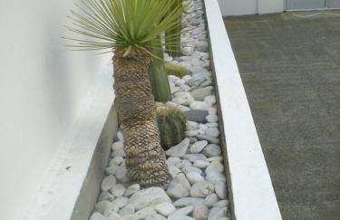 Manolis' House - Foto 50