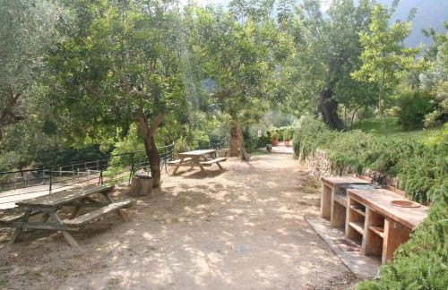 Alfabia Nou Agroturismo - Foto 73