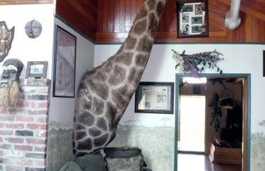 Whitebird Summit Lodge - Foto 39