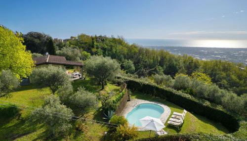 Villa Elisa - Foto 2, Garden