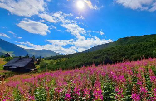 Domek pod Kozińcem SAUNA JACUZZI Zakopane - Foto 53