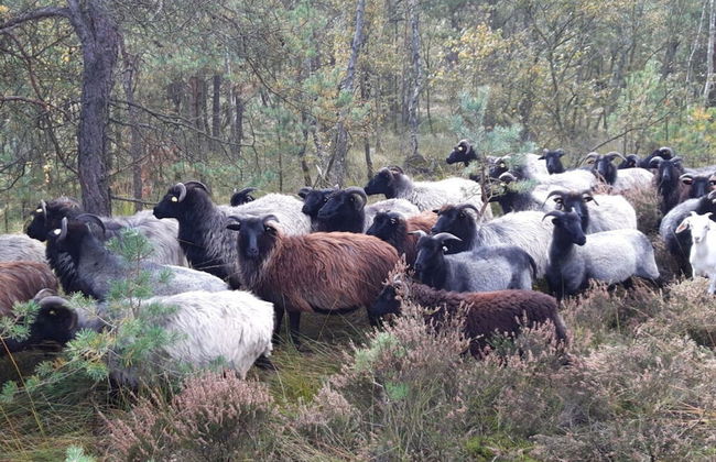 Apartment at the Eichenpark - Foto 23