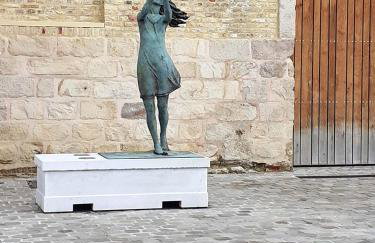 Maison charmante à Saint-Blimont avec jardin - Foto 13