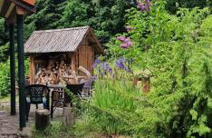 Jaworowy Stok z widokiem na góry i ogrodem - Foto 4