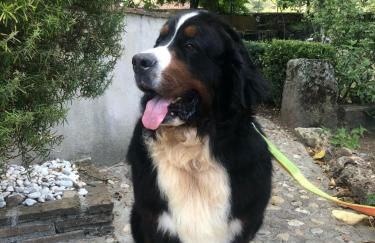 Casa Rural Paraje de yuste - Foto 83