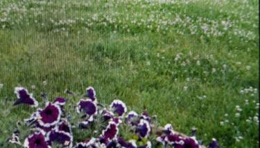 APPARTAMENTO FONTEBELLA - Photo 4