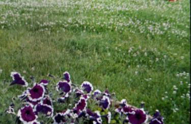 APPARTAMENTO FONTEBELLA - Photo 4