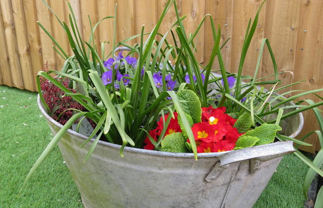 Private Garden Room - Rural Village - Foto 28