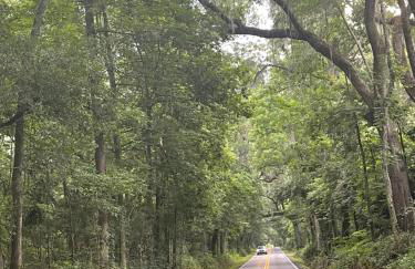 Nature Lover's Oasis - Foto 19