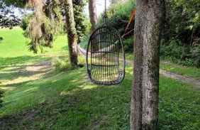 Bienenhaus - Photo 16