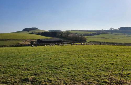 Strathken Cottage - Foto 16